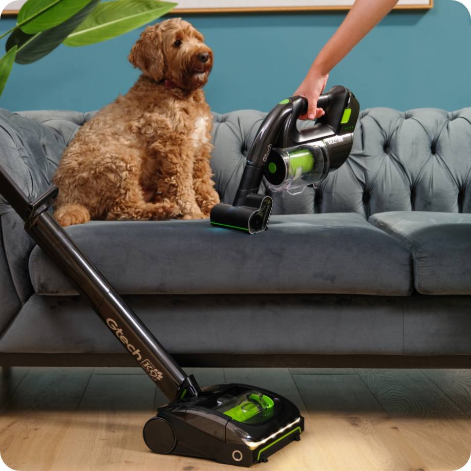 pet-vacuums_1